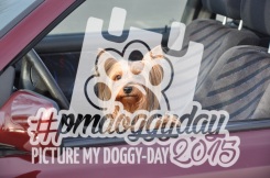 Picture my doggy day 2015 - #pmdoggyday2015